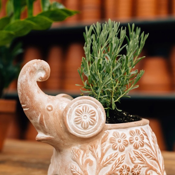 🆕 Handmade Terracotta Trumpeting Elephant Planter Drainage Indoor Outdoor BNIB - Picture 4 of 6